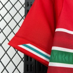 لباس اول ولز جام جهانی 2026 | هوادار - تصویر 4